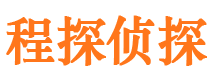 崇川市私家侦探